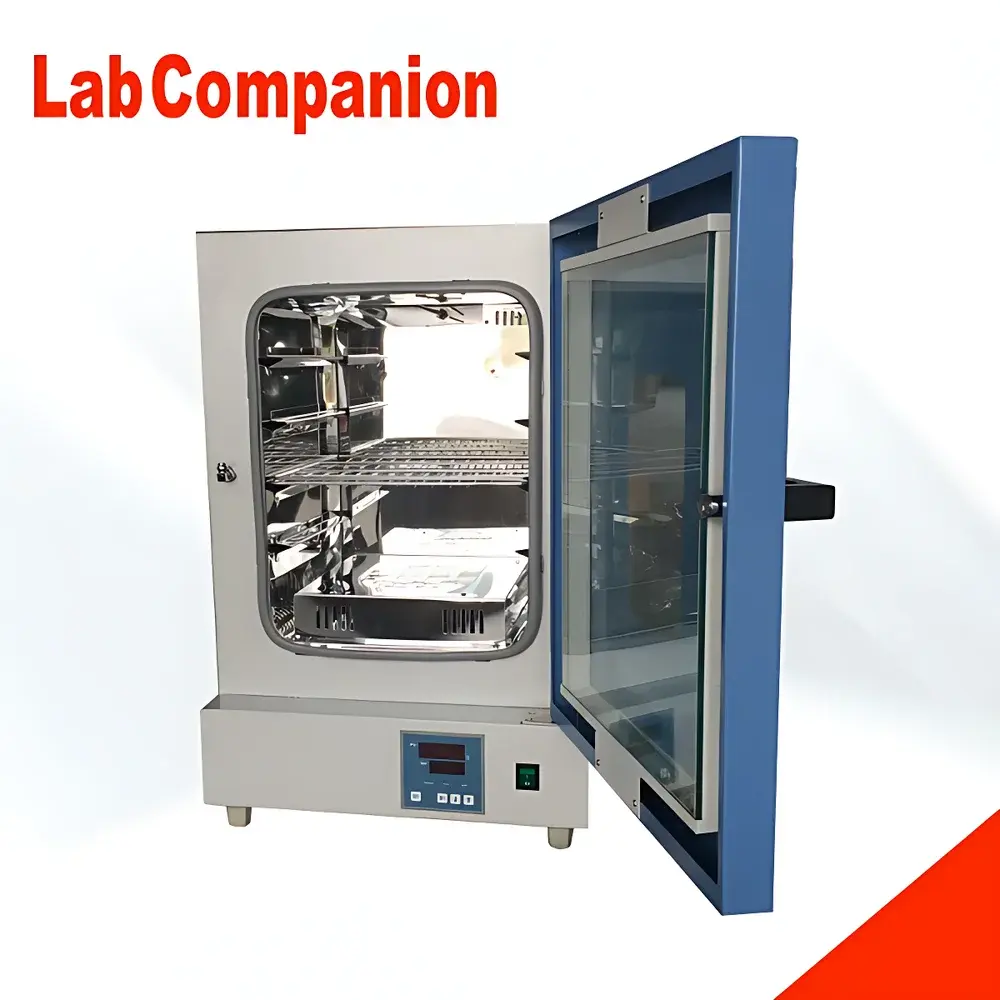 Hongzhan DGF Series Forced-Convection Electric Hot Air Drying Oven