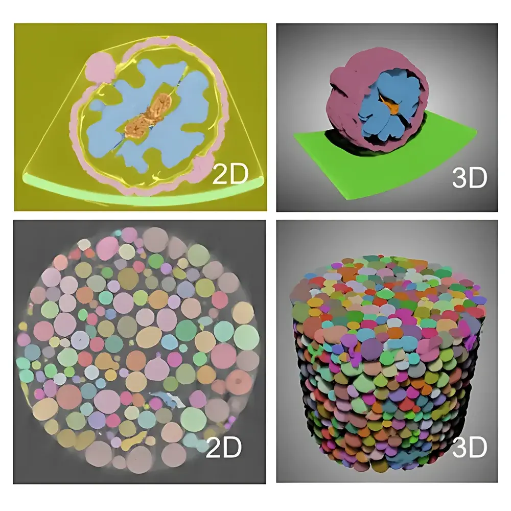 Dragonfly 3D World — Advanced 3D/4D Volumetric Image Visualization and Quantitative Analysis Software