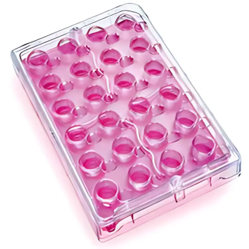 Millicell 24-Well Cell Culture Plate Assembly (PCF or PET Membrane, 0.4 µm or 1.0 µm Pore Size)