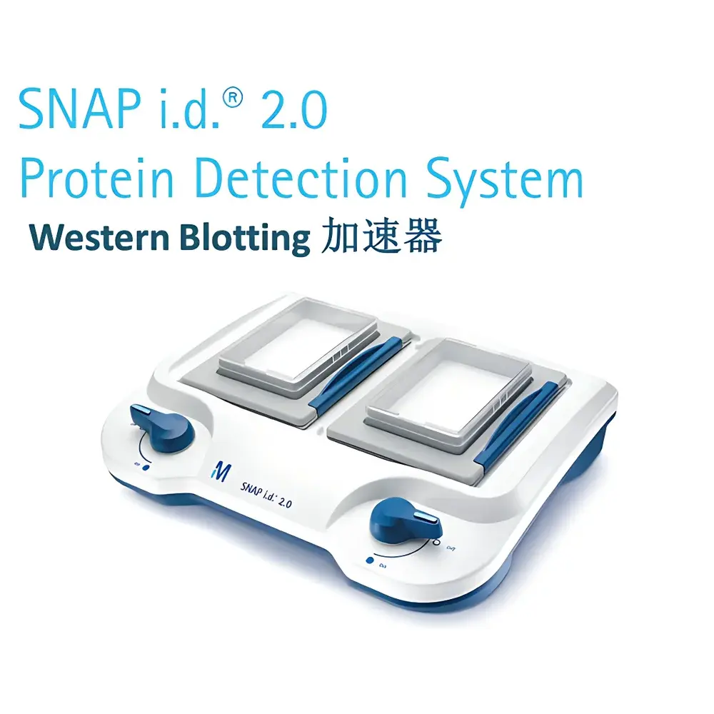 Western Blotting System