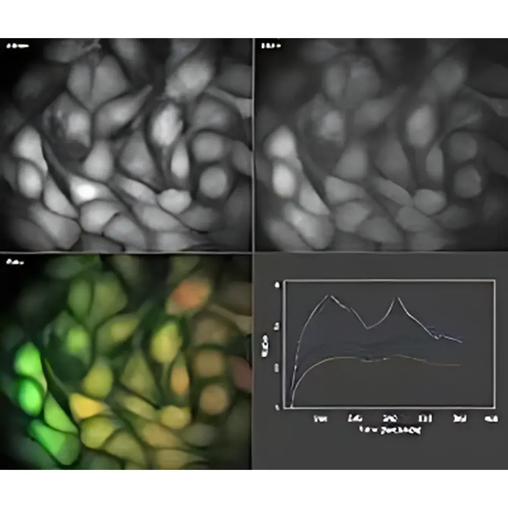 VisiFluor Ion Imaging System