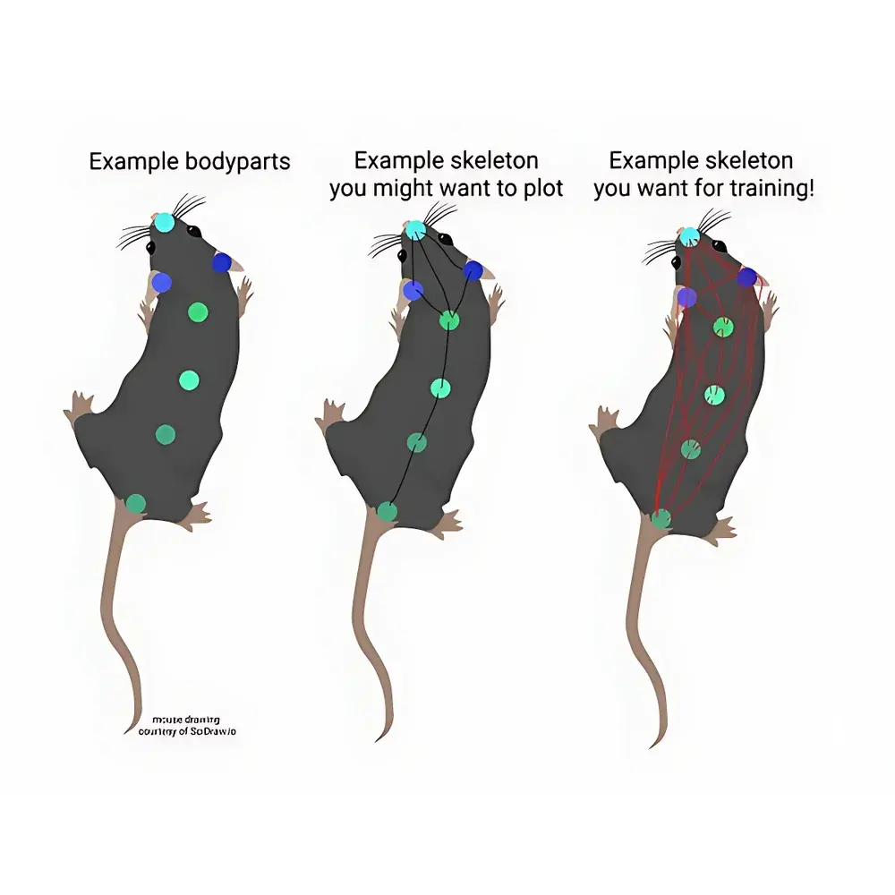 DITECT DIPP-Motion V 2D/3D Motion Analysis Software