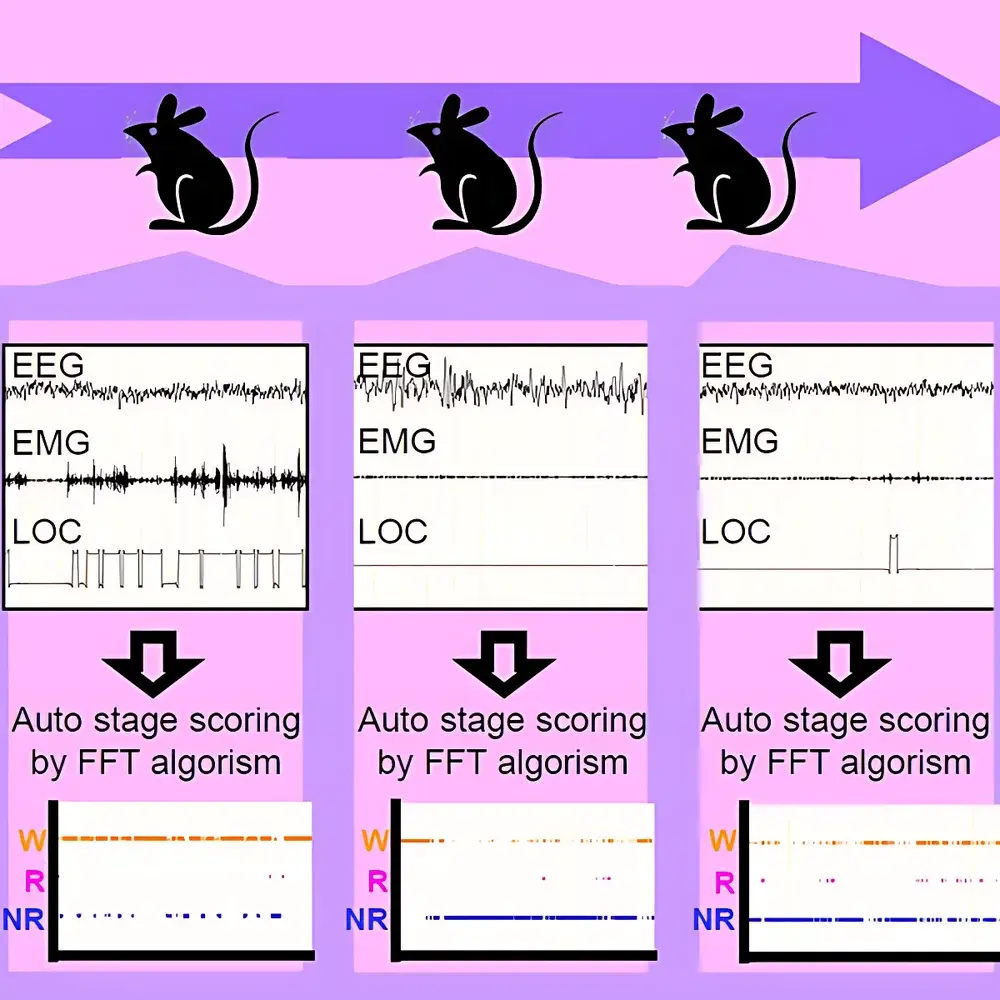 Kissei SleepSign Animal Sleep Analysis Software