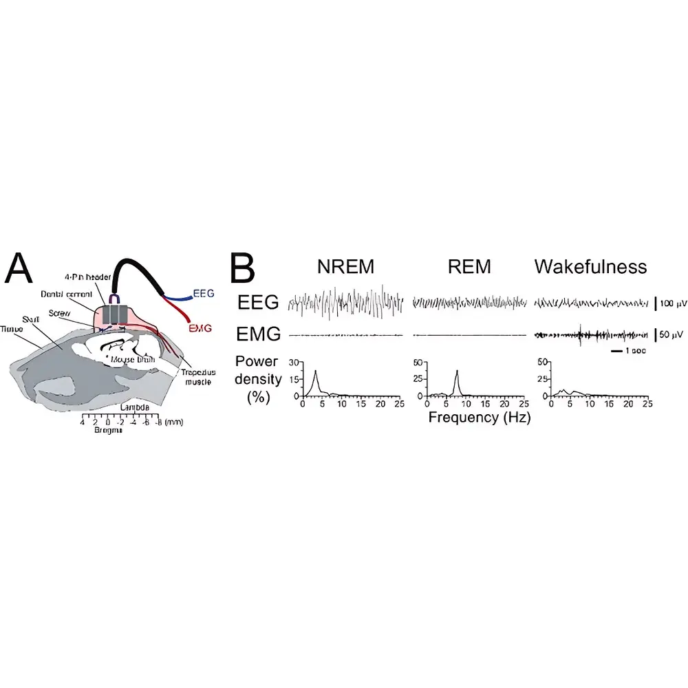 Kissei SleepSign Animal Sleep Analysis Software