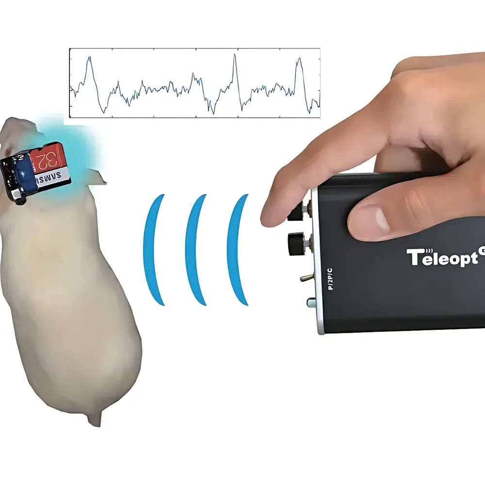 TeleoptoELG Wireless Integrated Electrophysiology and Optogenetic Stimulation System