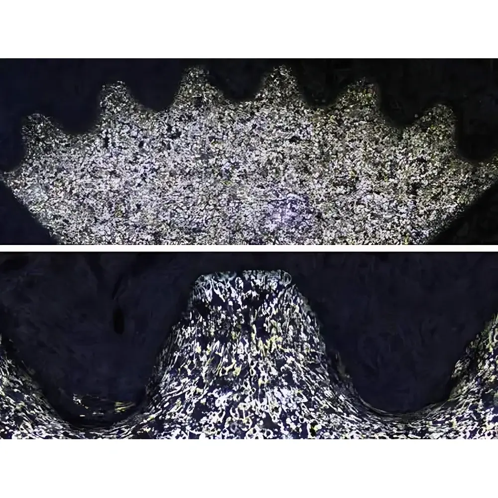 Leica DMi8 M/A/C Inverted Universal Metallurgical Microscope