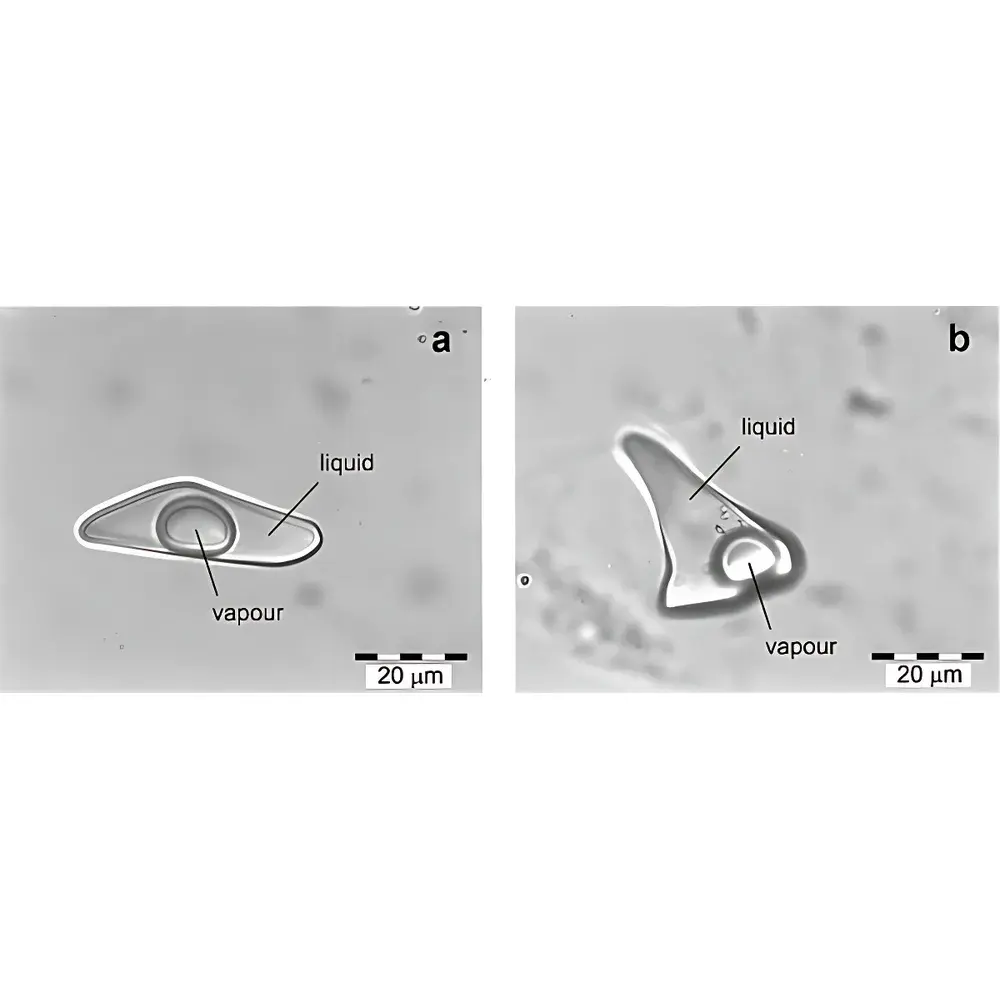 Linkam THMS600 Heating and Cooling Stage