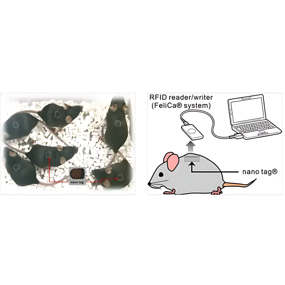 Kissei Nanotag Implantable Telemetry Device for Long-Term In Vivo Activity and Temperature Monitoring in Rodents
