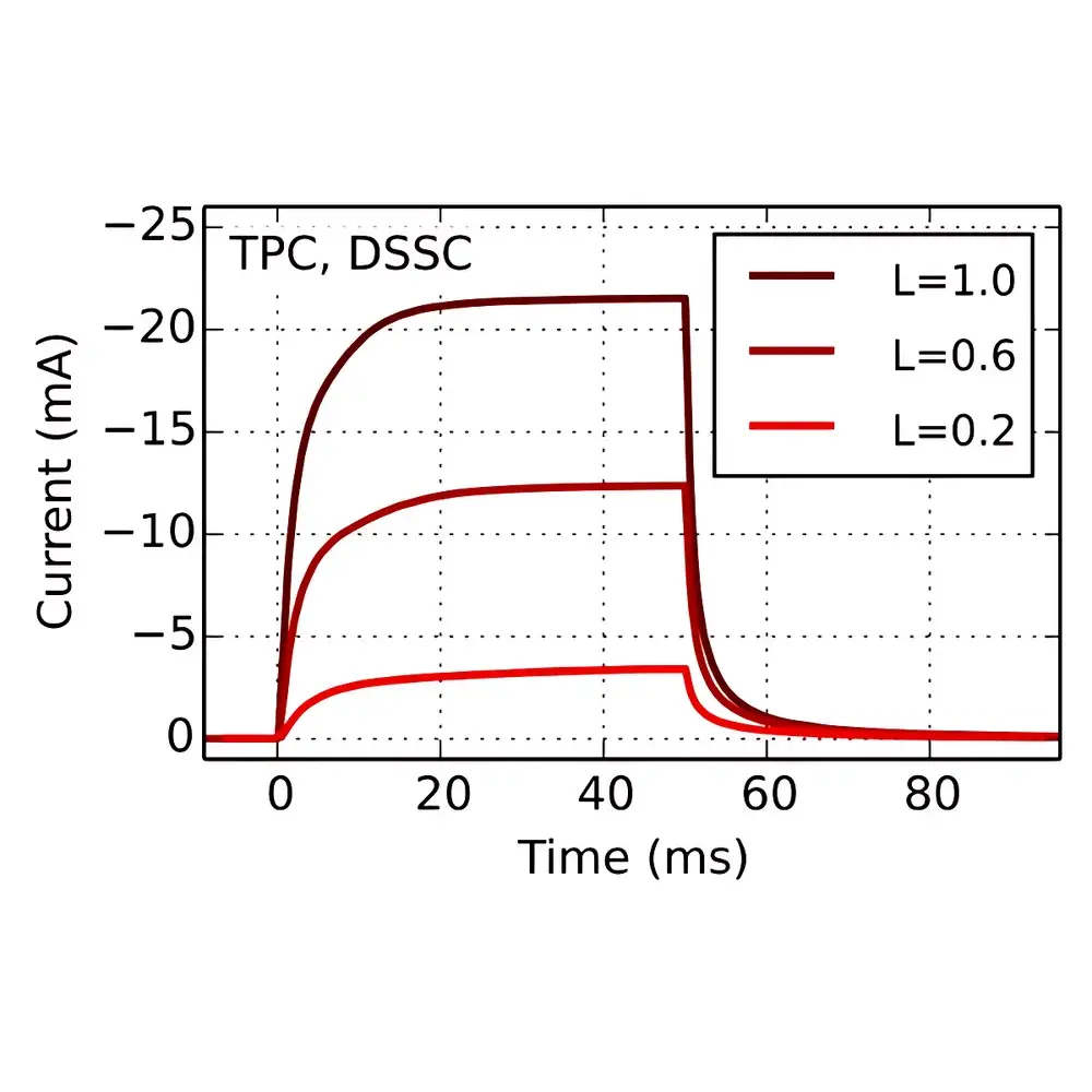 Fluxim PAIOS Transient Photocurrent/Photovoltage Measurement System