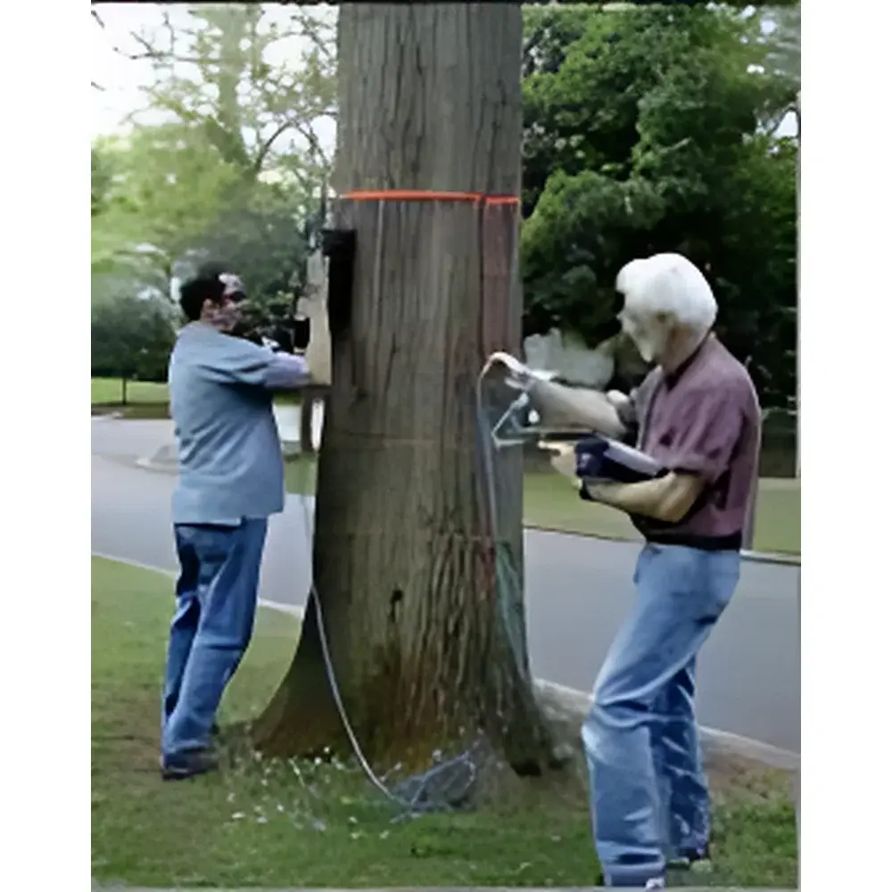 TRU Tree Radar Imaging System