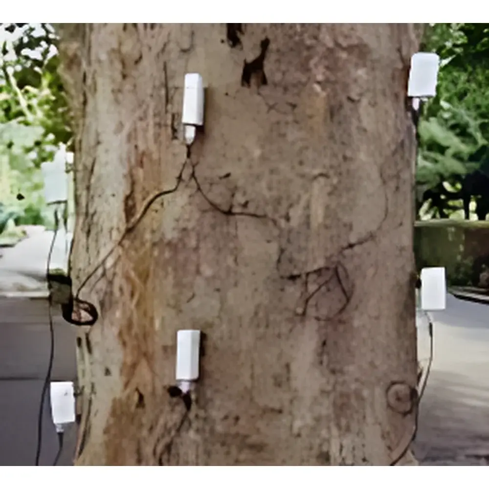 Rinntech ARBOTOM® Pulse-Based Tree Tomography System