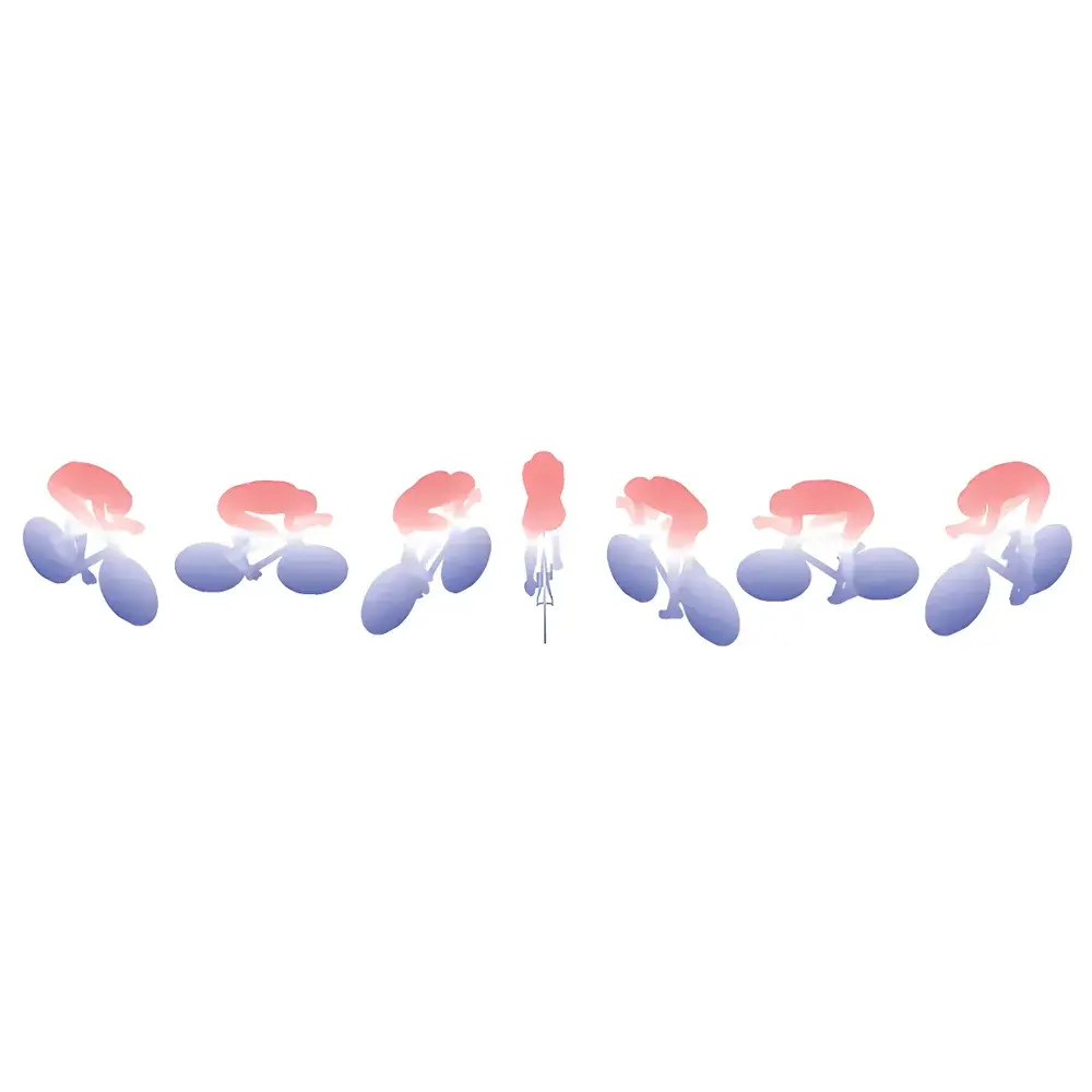 LaVision OA-STB Object-Aware Shake-the-Box 3D3C Particle Image Velocimetry System