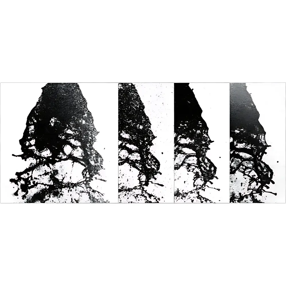 LaVision FRAME Frequency-Recognition Algorithm for Multiple Exposures Imaging Camera