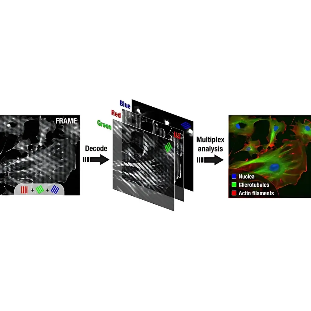 LaVision FRAME Frequency-Recognition Algorithm for Multiple Exposures Imaging Camera