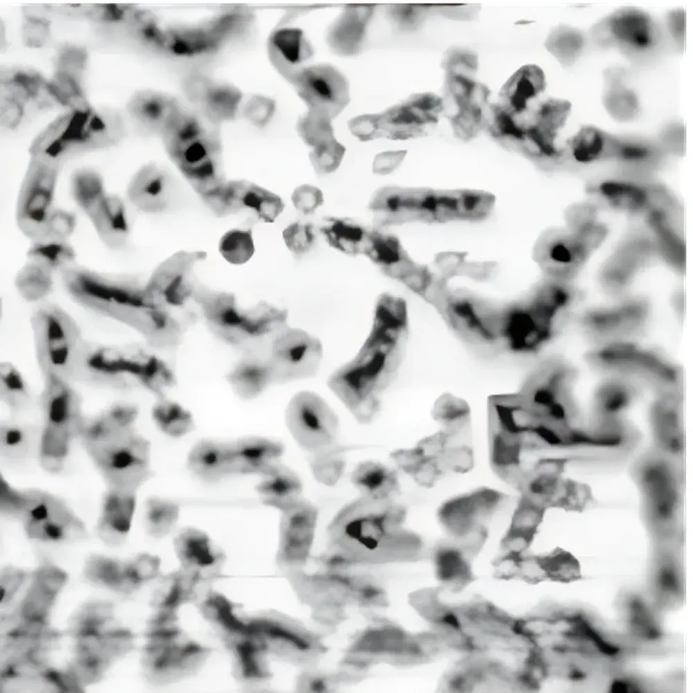 MCL-NSOM Near-Field Scanning Optical Microscope