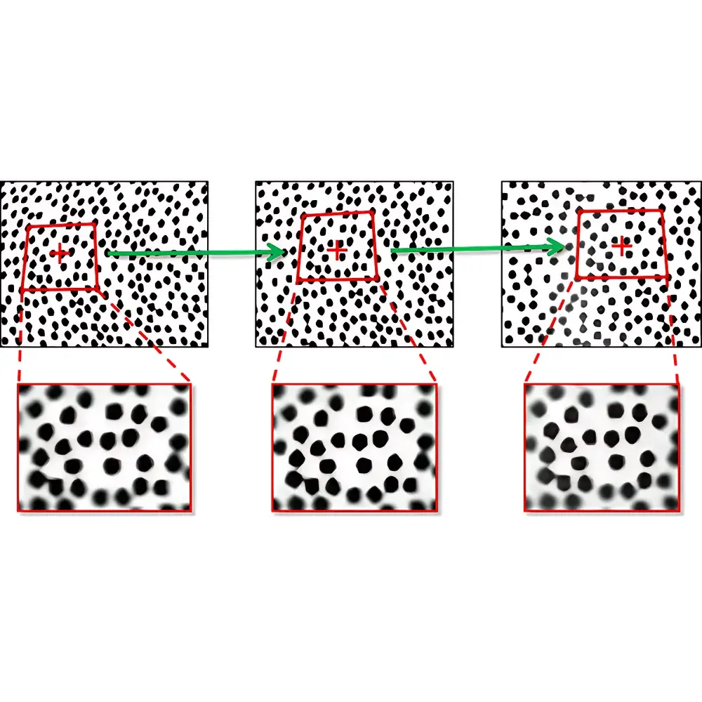 LaVision StrainMaster 2D-/3D Stereo Digital Image Correlation System