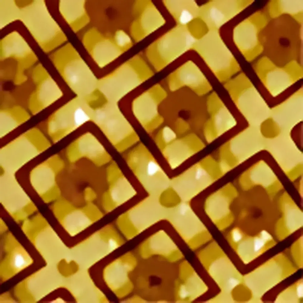 MCL MadPLL® Atomic Force Microscope Controller