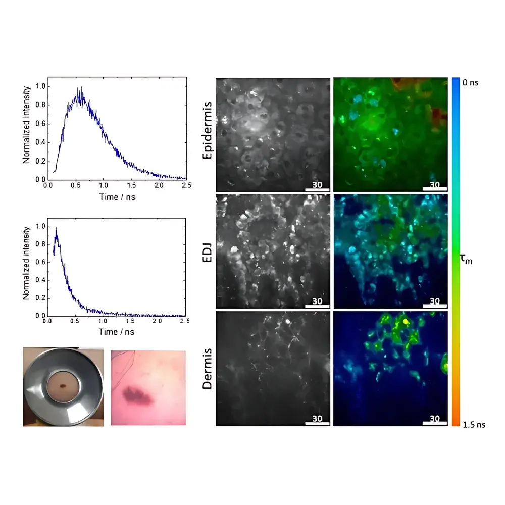 JenLab MPTcompact Compact In Vivo Multiphoton Tomography System