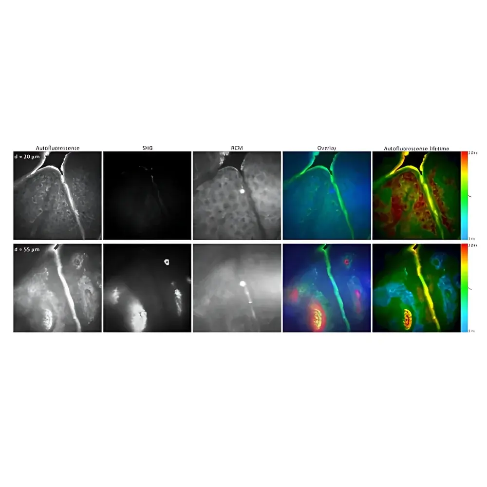 JenLab MPTcompact Compact In Vivo Multiphoton Tomography System