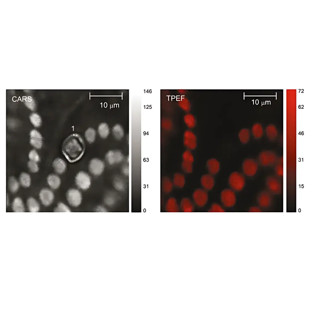 Ekspla CARS Coherent Anti-Stokes Raman Scattering Microspectroscope