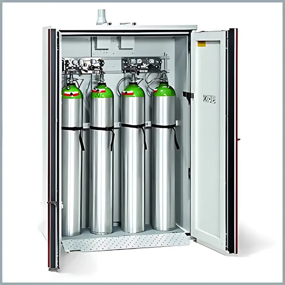 Dueperthal Germany Gas Cylinder Cabinet