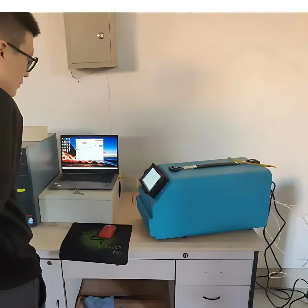 LESHI 9100HFID Portable Methane and Non-Methane Hydrocarbons (NMHC) Analyzer