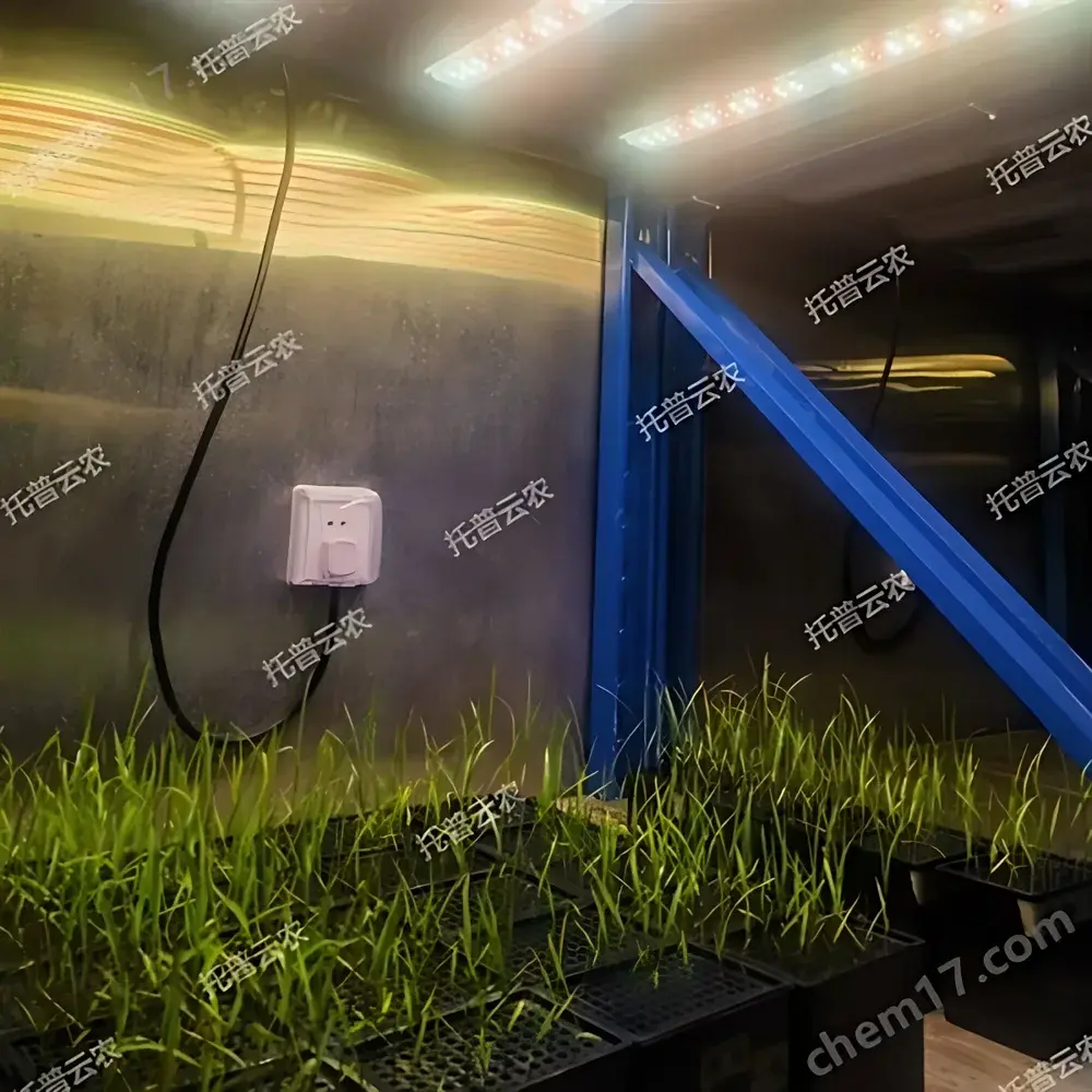 Plant Growth Chamber – Top Cloud-agri Walk-in Controlled Environment Chamber for Plant Physiology and Phenotyping Studies