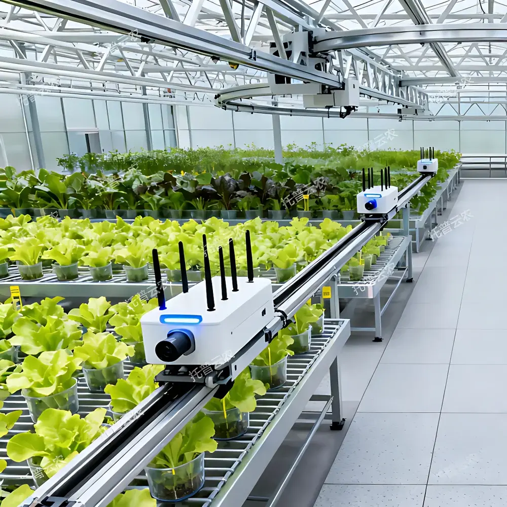 Top Cloud-agri TP-DG-1 / TP-DG-3 Greenhouse Overhead Rail-Based High-Throughput Plant Phenotyping System