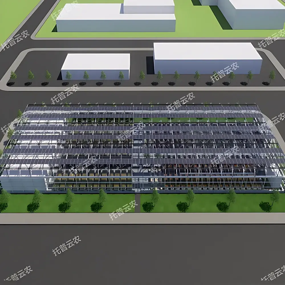 Top Cloud-agri TP–ZWGC Series Greenhouse-Type LED Plant Factory