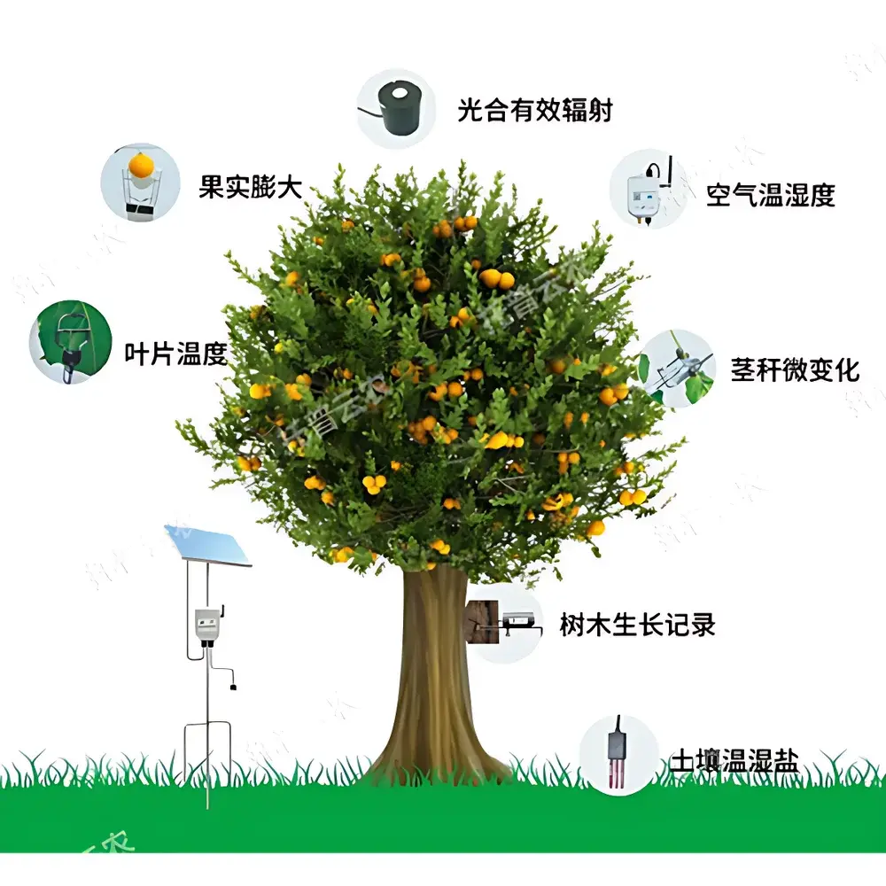 Top Cloud-agri TP-ZWSL Plant Root Growth and Physiological Ecology Monitoring System