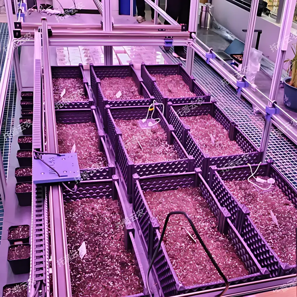 Top Cloud-agri TP-PlantPhy Controlled-Environment Plant Phenotyping System