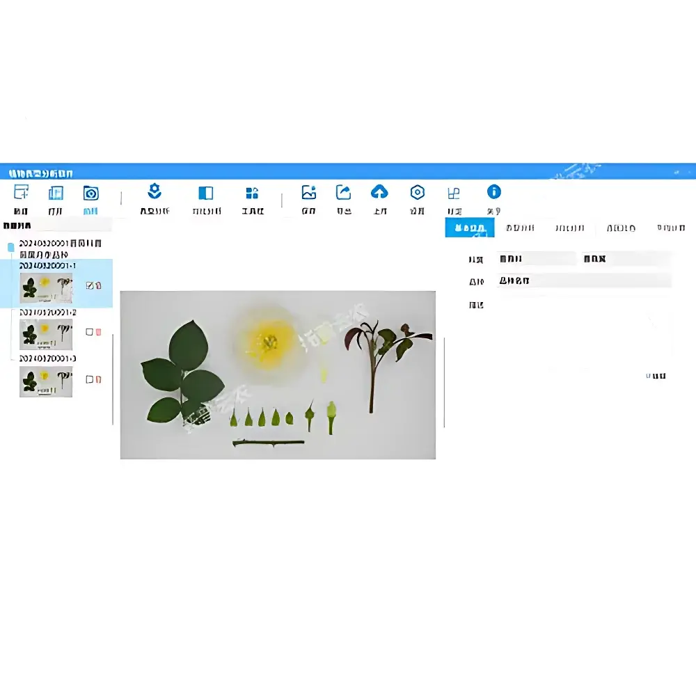 Top Cloud-agri TP-AI Pheno L Plant Phenotyping Analysis Software (Client Application)