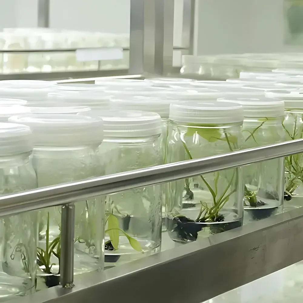 Top Cloud-agri Test Tube Seedling Storage Repository