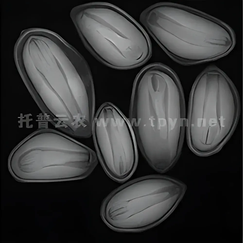 Top Cloud-agri HY-1180 Ultra-High-Resolution Seed X-ray Imaging System