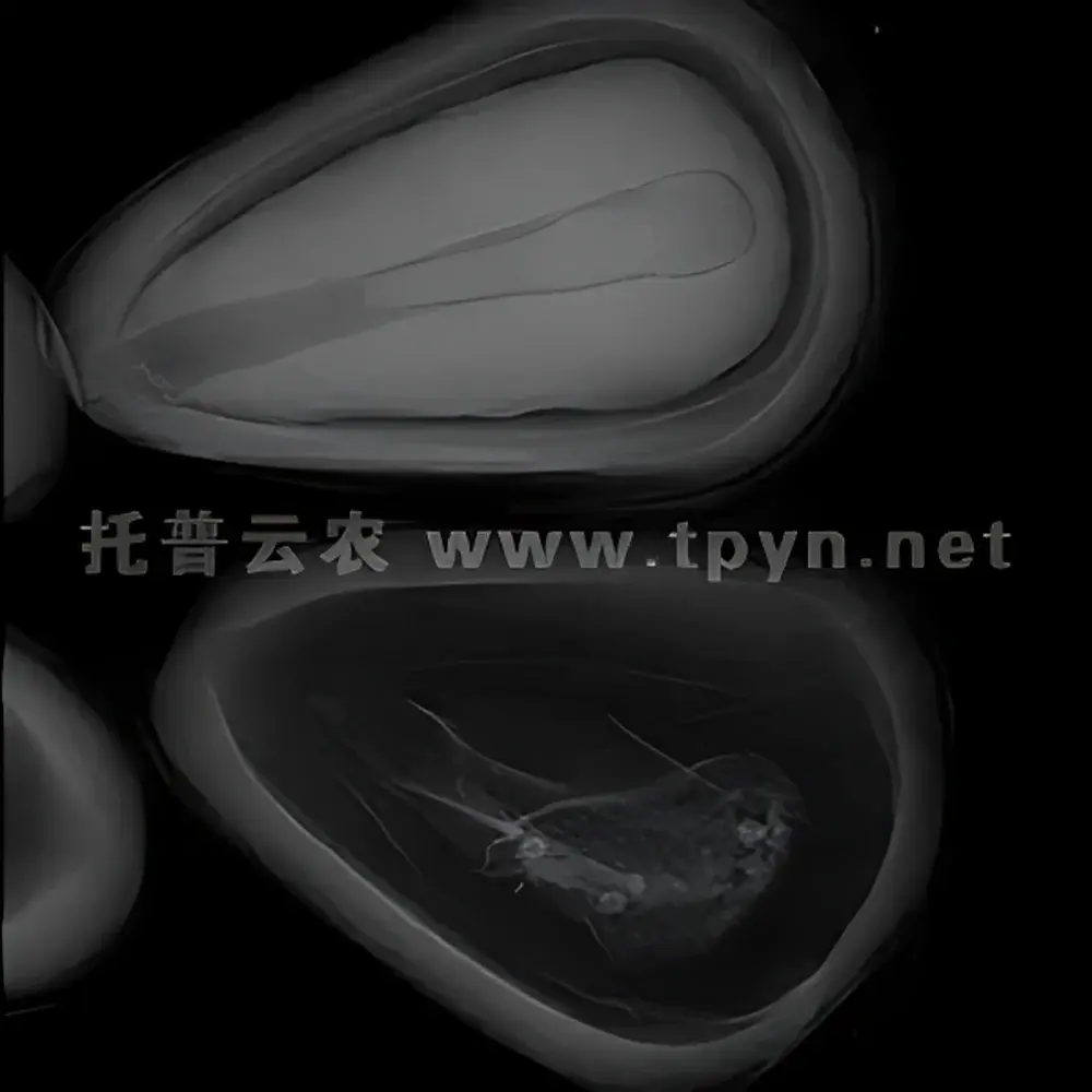 Top Cloud-agri HY-1180 Ultra-High-Resolution Seed X-ray Imaging System