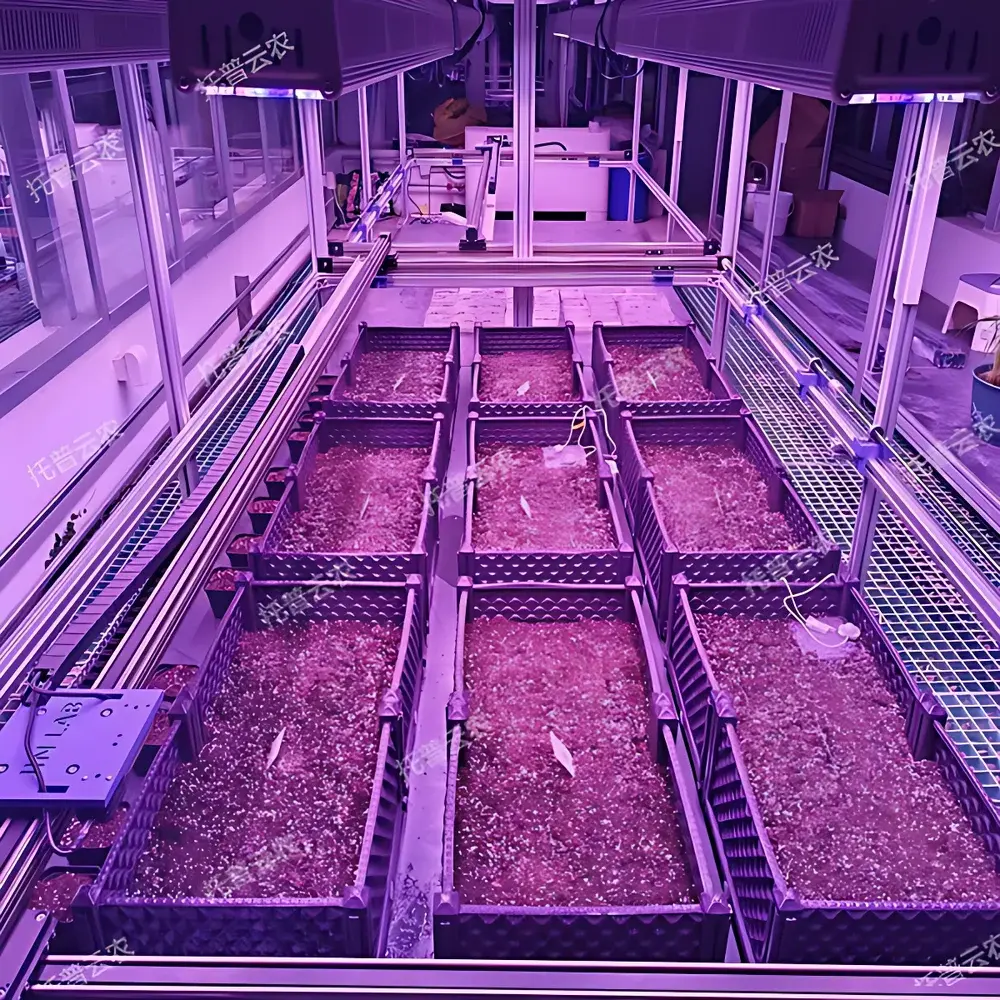 Top Cloud-agri TPN-SeedPhy Indoor Seed Germination Phenotyping System