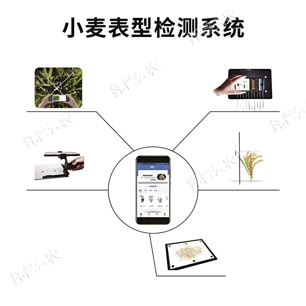 Wheat Phenotyping System TPM-BX-1 by Top Cloud-agri