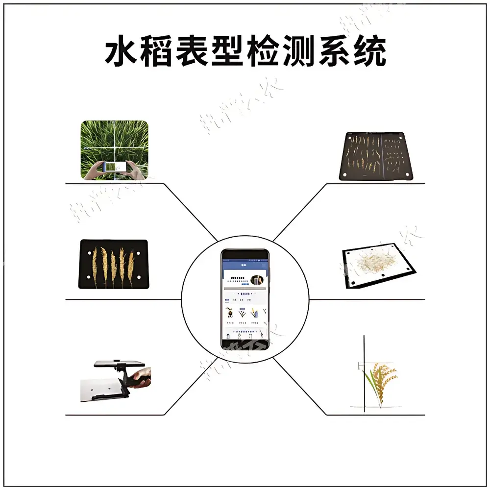 Top Cloud-agri TPS-BX-1 Rice Phenotyping System