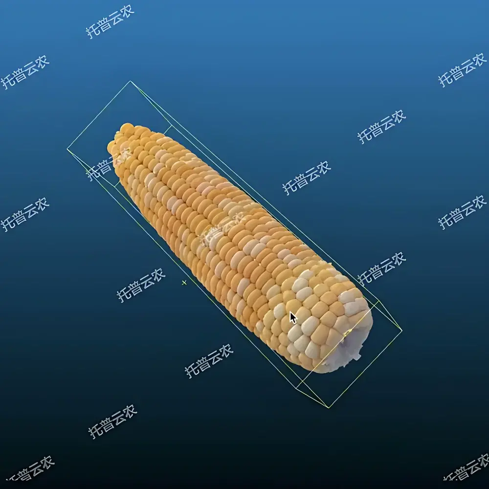 Top Cloud-agri TP-XT3D-GY High-Throughput Maize Ear Phenotyping & Seed Trait Analysis System