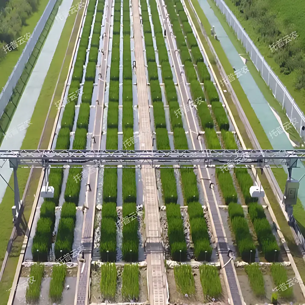 Top Cloud-agri TPN-GTL-GT1 Ground-Track High-Throughput Plant Phenotyping Platform