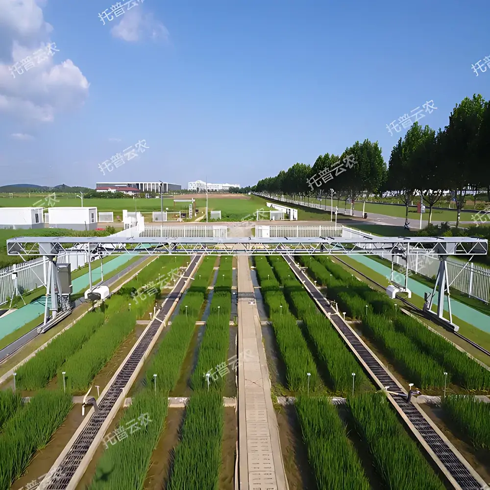 Top Cloud-agri TPN-GTL-GT1 Ground-Track High-Throughput Plant Phenotyping Platform