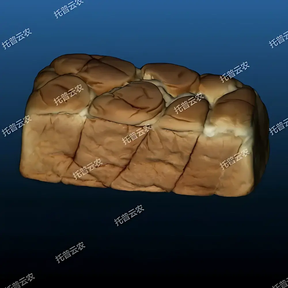 Top Cloud-agri TP-XT3D-GM Digital Bread Volume & Quality Analysis System