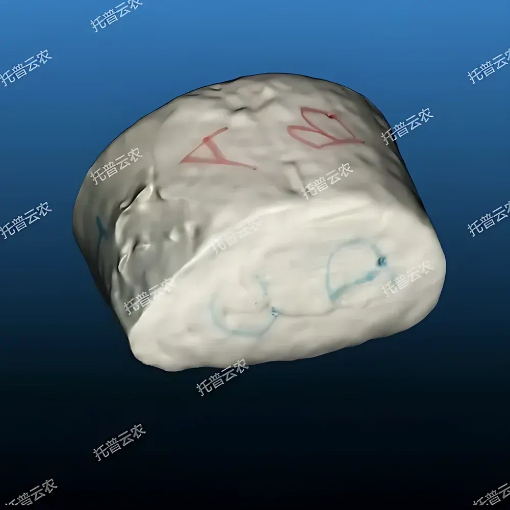 Top Cloud-agri TP-XT3D-GM Digital Bread Volume & Quality Analysis System