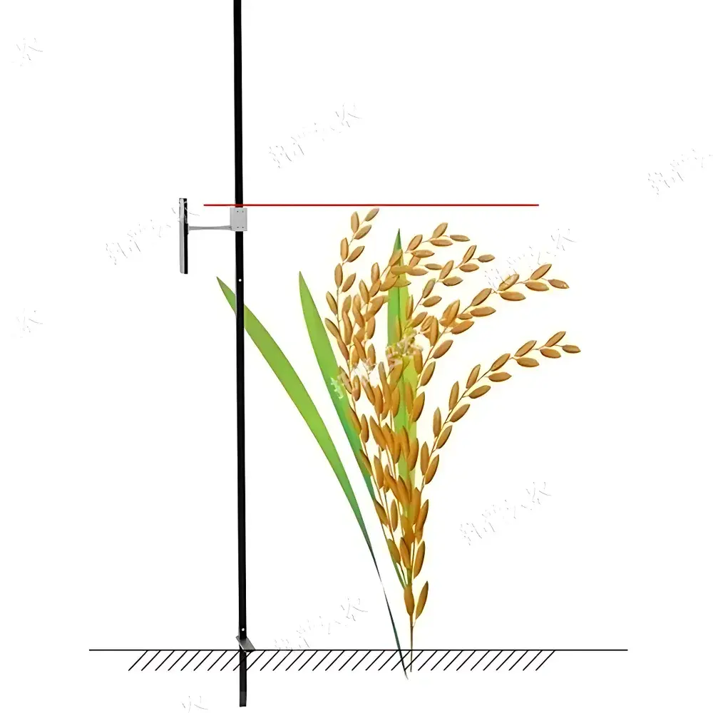 TPDM-G-1 Portable Crop Height Measurement System by Top Cloud-agri