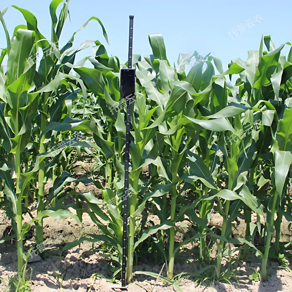 TPDM-G-1 Portable Crop Height Measurement System by Top Cloud-agri