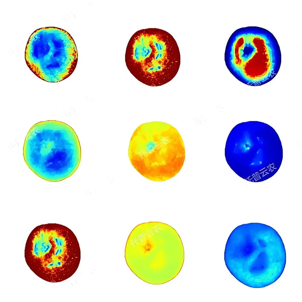 Top Cloud-agri TP-GP-GS Non-Destructive Fruit Quality Analyzer with Hyperspectral Imaging
