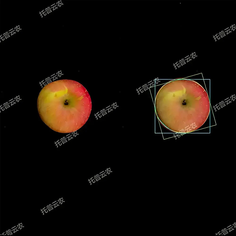 Top Cloud-agri TP-GP-GS Non-Destructive Fruit Quality Analyzer with Hyperspectral Imaging
