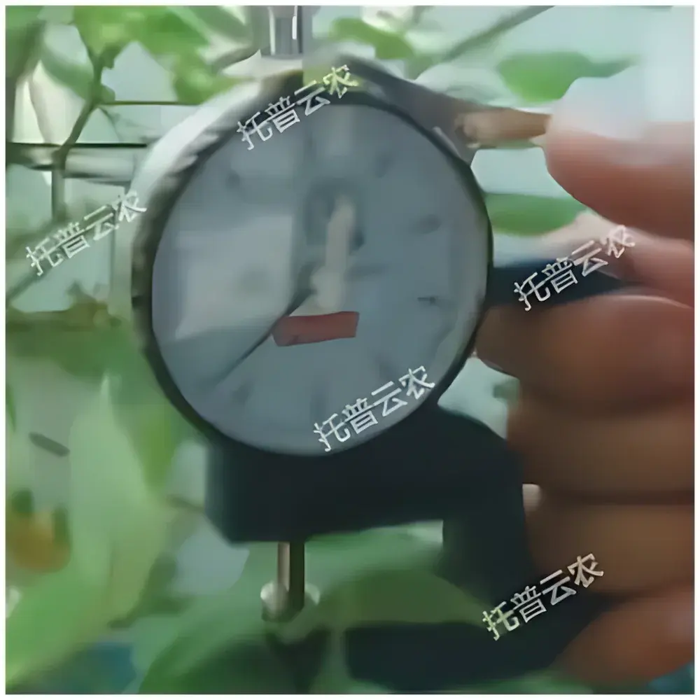 Leaf Thickness Gauge YH-1 by Top Cloud-agri