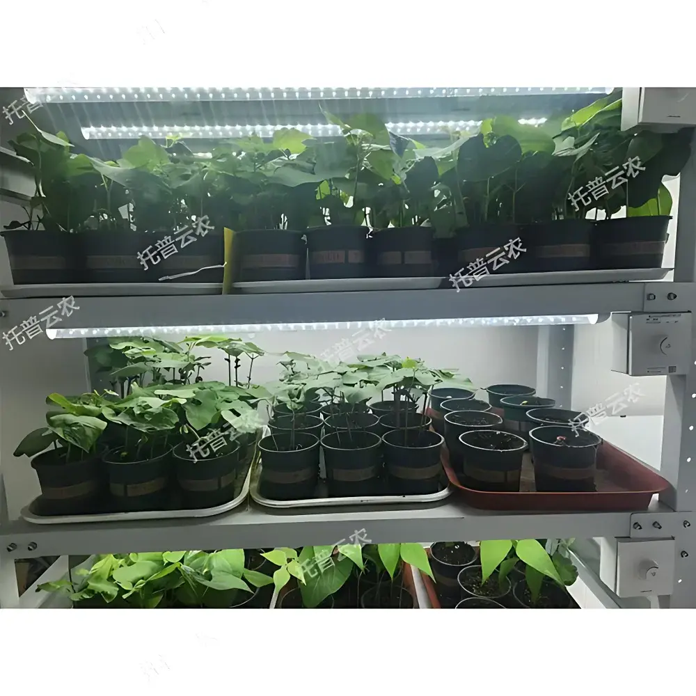 Top Cloud-agri TP-ZWC-1 Walk-in Plant Growth Chamber with Intelligent Environmental Control System
