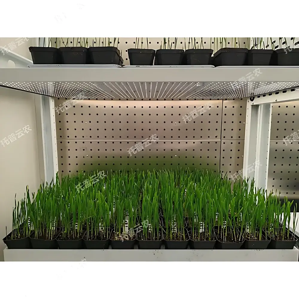 Top Cloud-agri TP-ZWC-1 Walk-in Plant Growth Chamber with Intelligent Environmental Control System